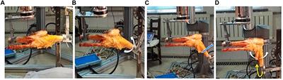 The Effects of Lateral Meniscus Posterior Root Tear and its Repair on Knee Stability of Internal Rotation and Forward Shift: A Biomechanical Kinematics Cadaver Study